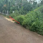 Bán đất Trục B4 150m² Buôn EaNao B 1 tỷ 870 triệu - Ảnh thu nhỏ 4