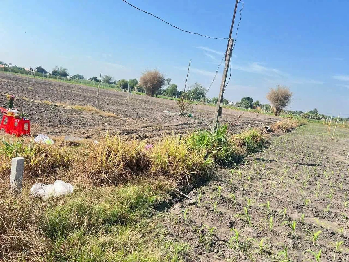 Bán đất 400m² ở Tây Ninh 1,7 tỷ - Ảnh thu nhỏ 4
