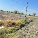 Bán đất 400m² ở Tây Ninh 1,7 tỷ - Ảnh thu nhỏ 4