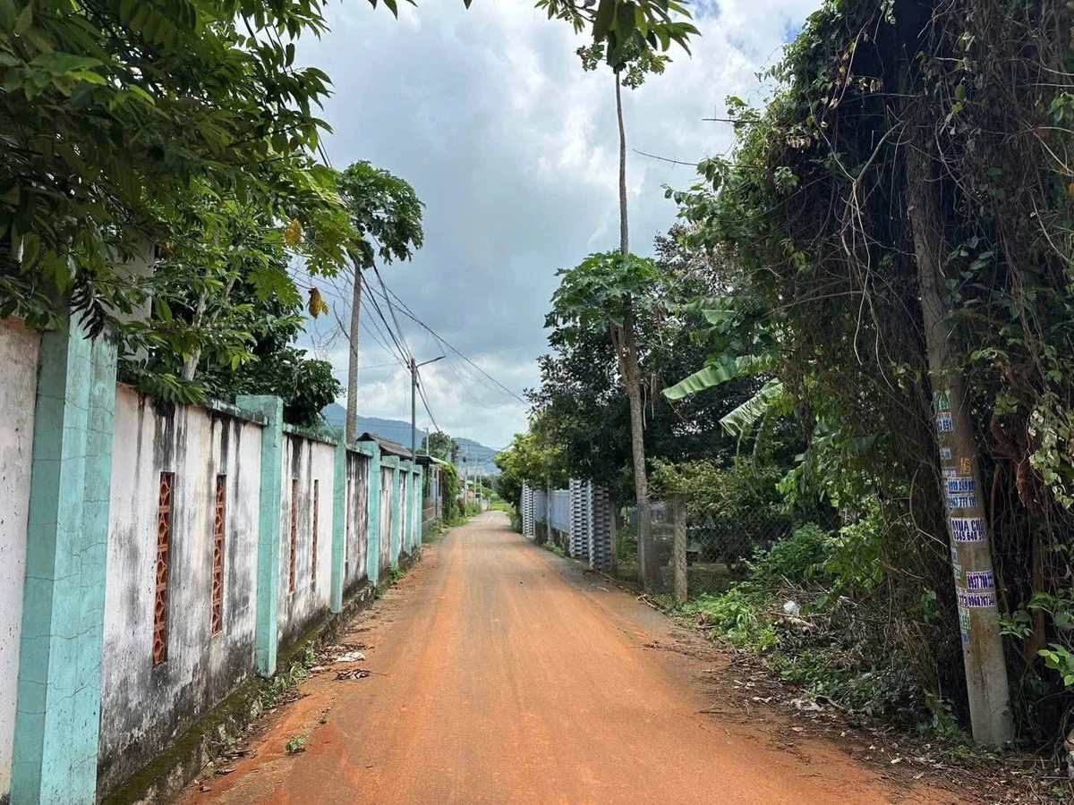 Bán đất 535m2 Tam Long, Nhà Bè, 3 tỷ 200 - Ảnh thu nhỏ 4