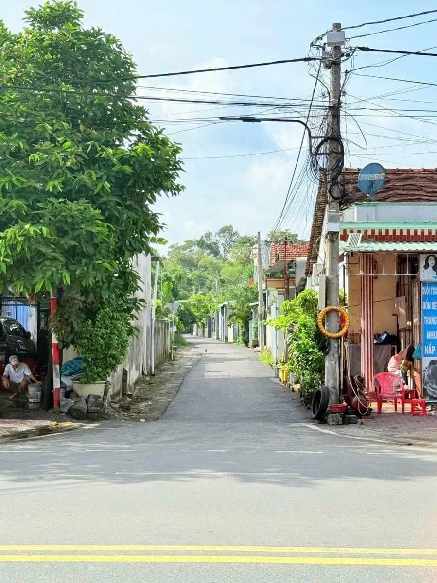 Bán đất Tân An Thủ Dầu Một Bình Dương 100m2 giá 2 tỷ 50 - Ảnh thu nhỏ 3