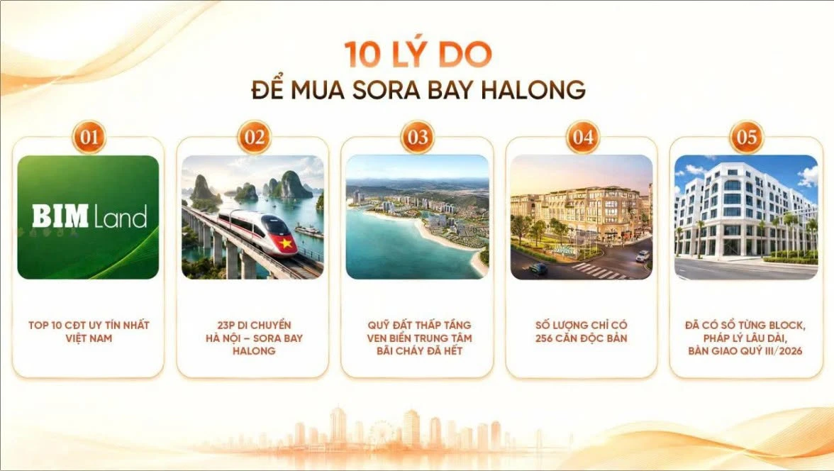 Bán shophouse Sora Bay Hạ Long 525m2 hướng biển - Ảnh 1
