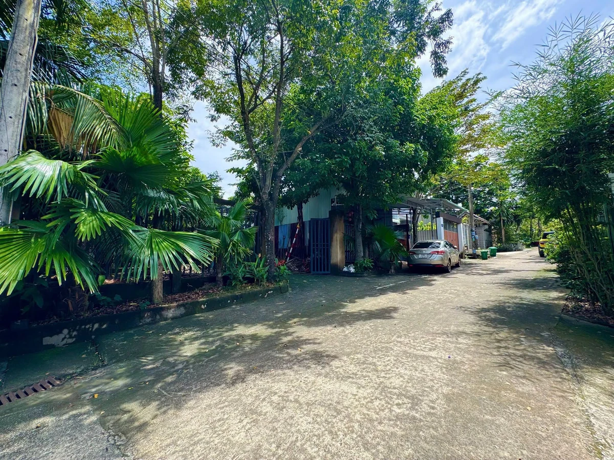 Bán nhà vườn 252m2 Đồng Xoài 2 tỷ 300 triệu - Ảnh thu nhỏ 3