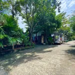 Bán nhà vườn 252m2 Đồng Xoài 2 tỷ 300 triệu - Ảnh thu nhỏ 3