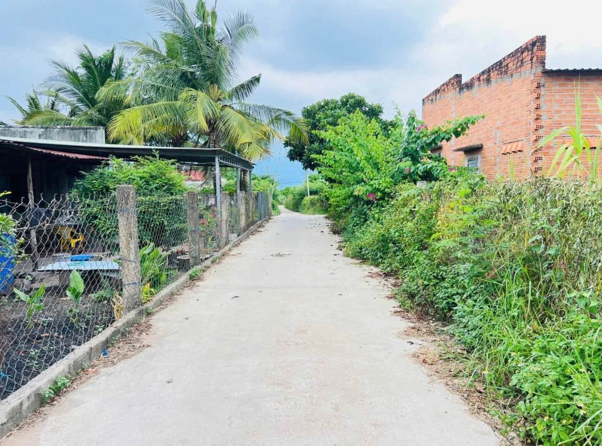 Bán đất nông nghiệp 268m² Hàm Thuận Bắc giá 390 triệu - Ảnh thu nhỏ 3