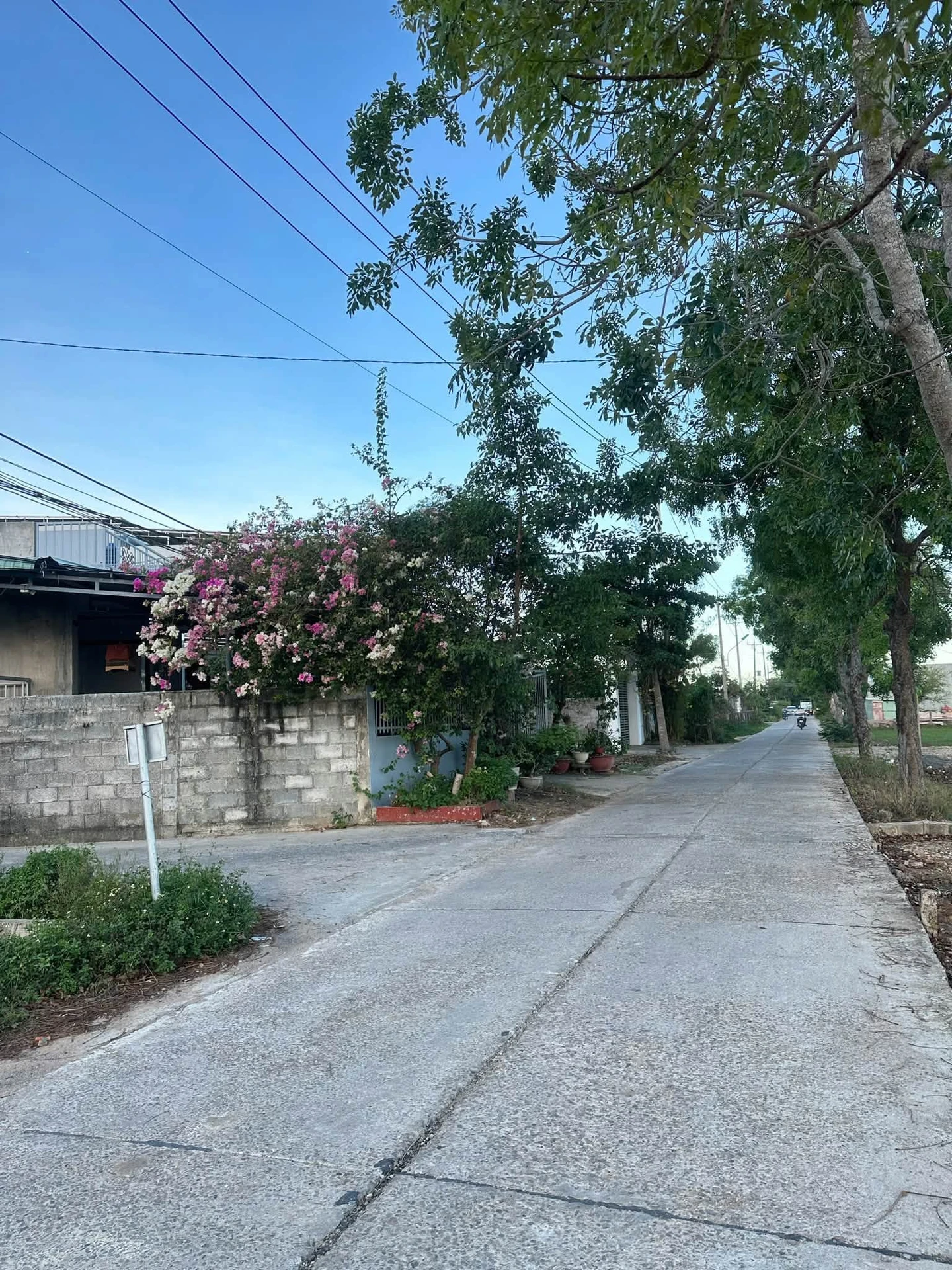 Bán lô đất 100m² đường Ngô Đức Tốn, Lâm Đồng - Ảnh 1