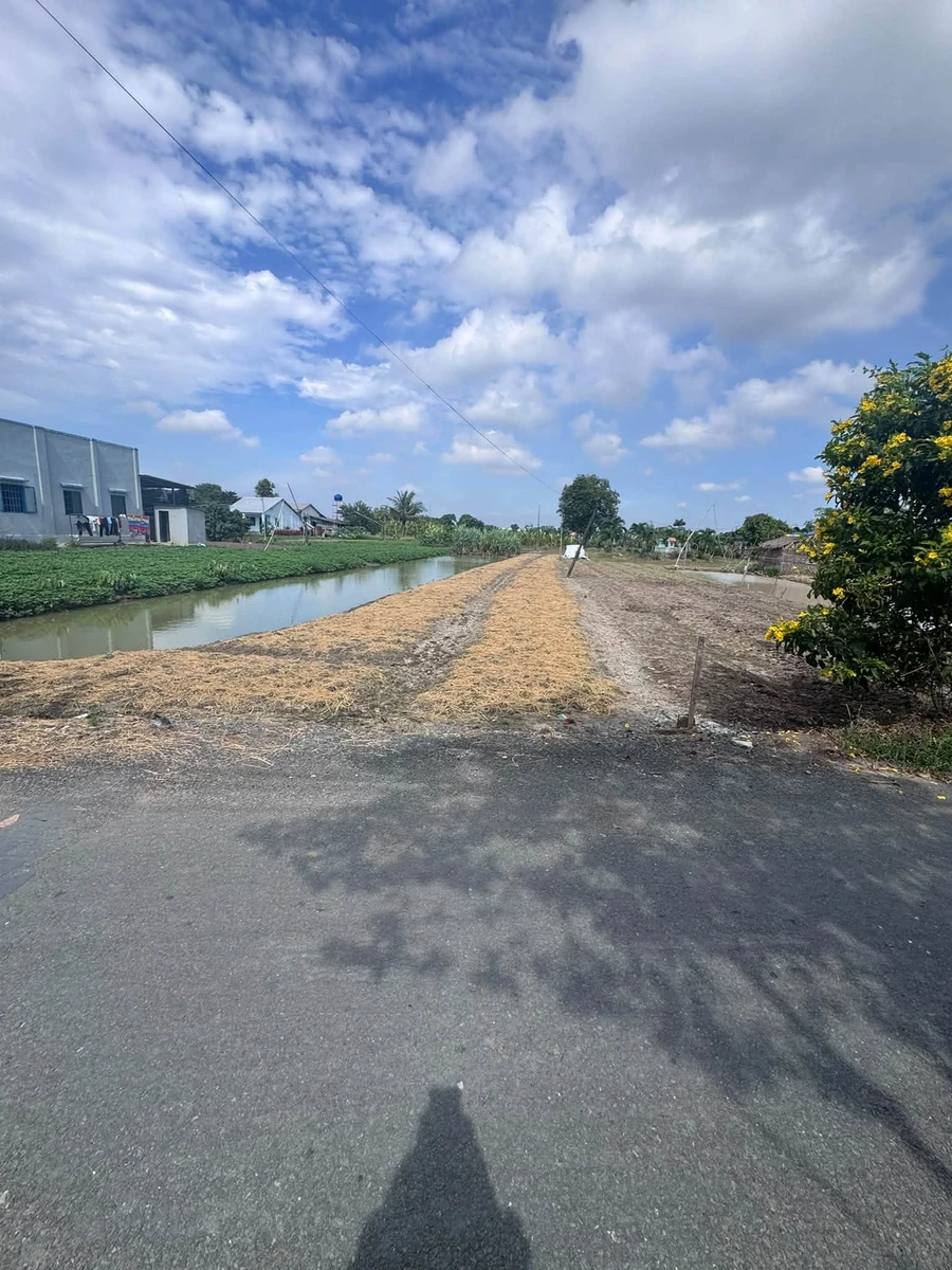 Bán đất lúa 1000m² mặt tiền đường Phạm Thị Kiều, Xã Phước Lý, Củ Chi - Ảnh thu nhỏ 5