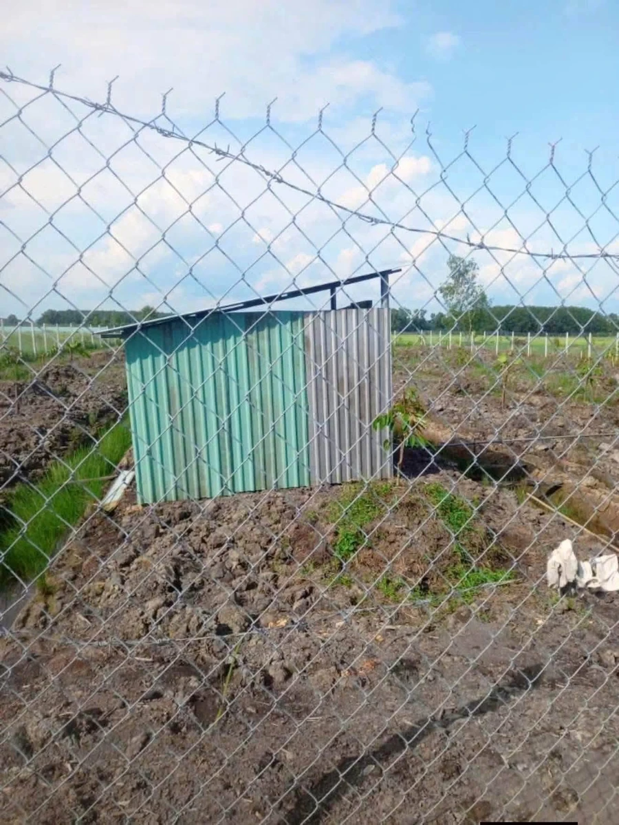 Bán đất vườn sầu riêng 2.248m2 Phú An 3 tỷ 100 - Ảnh thu nhỏ 4