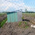 Bán đất vườn sầu riêng 2.248m2 Phú An 3 tỷ 100 - Ảnh thu nhỏ 4