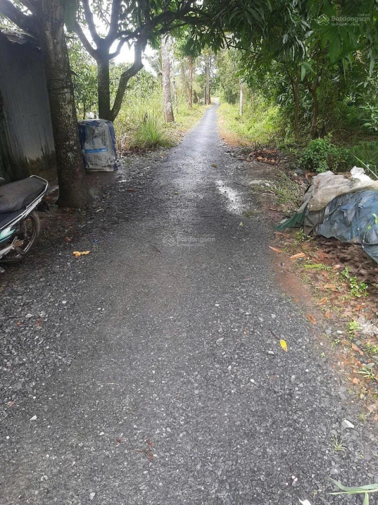 Bán đất tại Mỹ Hòa, Tháp Mười, Đồng Tháp, 9,5 tỷ, 2118 m2 - Ảnh thu nhỏ 5