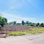 Bán đất Phước Long B BRVT 1000m2 1,65 tỷ - Ảnh thu nhỏ 3