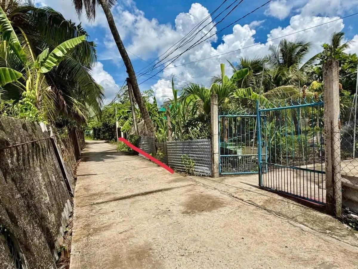 Bán đất thổ cư 5x39m (195m2) giá 750 triệu tại An Vĩnh Ngãi, Tân An, Tây Ninh - Ảnh 1