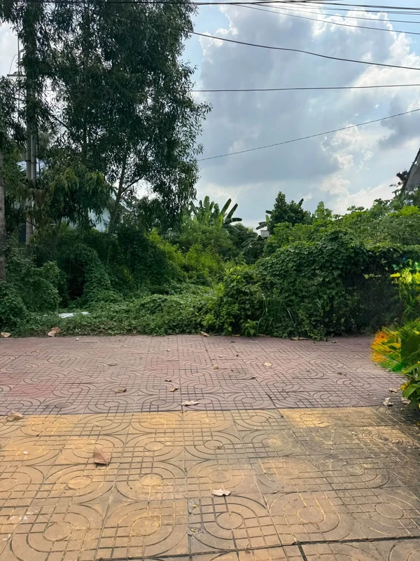 Bán nền đất 225m² đường Nguyễn Huệ, Tân Hồng, Đồng Tháp