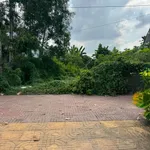 Bán nền đất 225m² đường Nguyễn Huệ, Tân Hồng, Đồng Tháp - Ảnh thu nhỏ 1