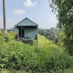 Bán đất vườn 1000m2 hai mặt tiền Đức Huệ, Tây Ninh - Ảnh thu nhỏ 4