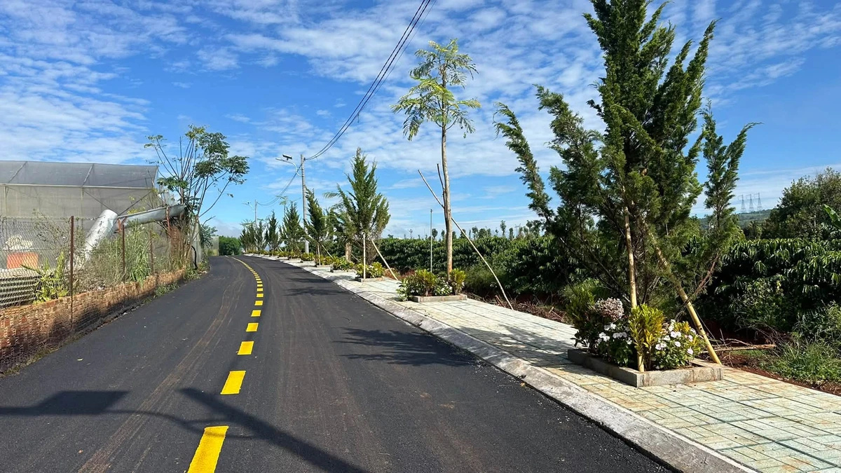 Bán lô đất 10x25m 250m² giá 650 triệu gần Huỳnh Thúc Kháng - Ảnh thu nhỏ 3