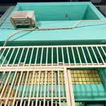 Bán nhà 1 trệt 1 lầu 34m² Bờ sông Tân Tạo 2,5 tỷ - Ảnh thu nhỏ 2