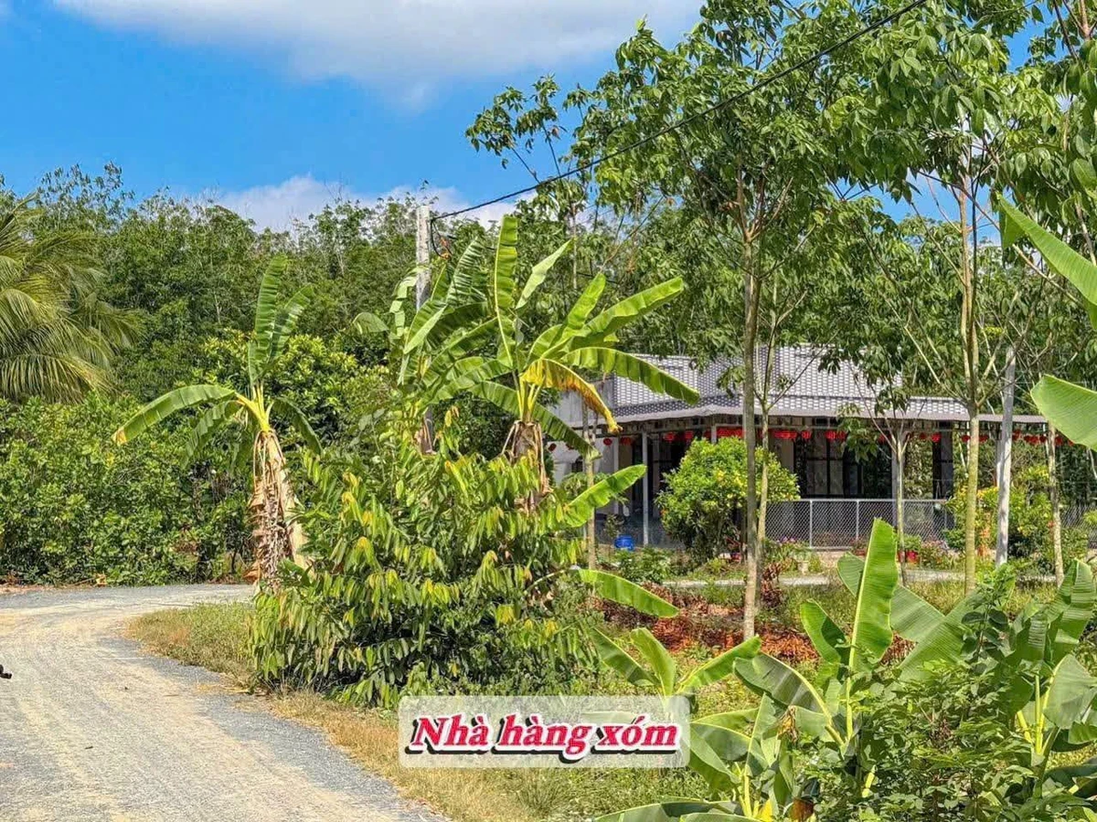 Bán đất nền 150m2 tại Tây Ninh 209 triệu - Ảnh thu nhỏ 2