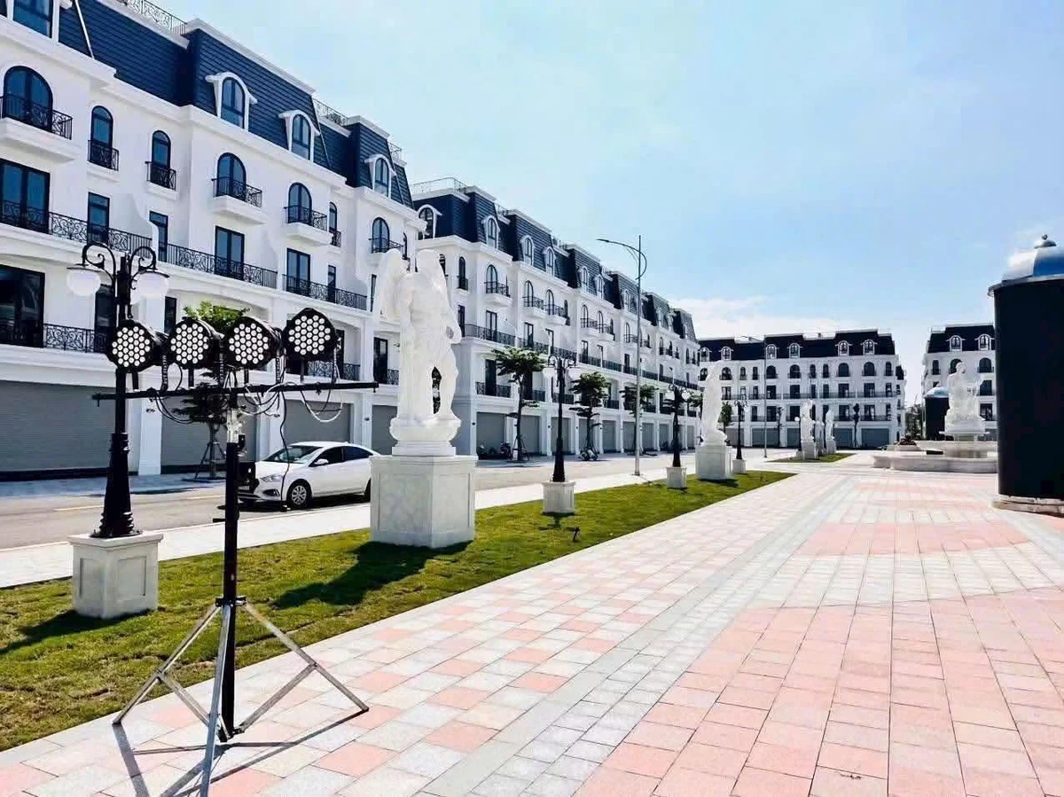 Bán shophouse 343m2 mặt tiền 38m tại Thủy Nguyên giá 6,9 tỷ - Ảnh 1