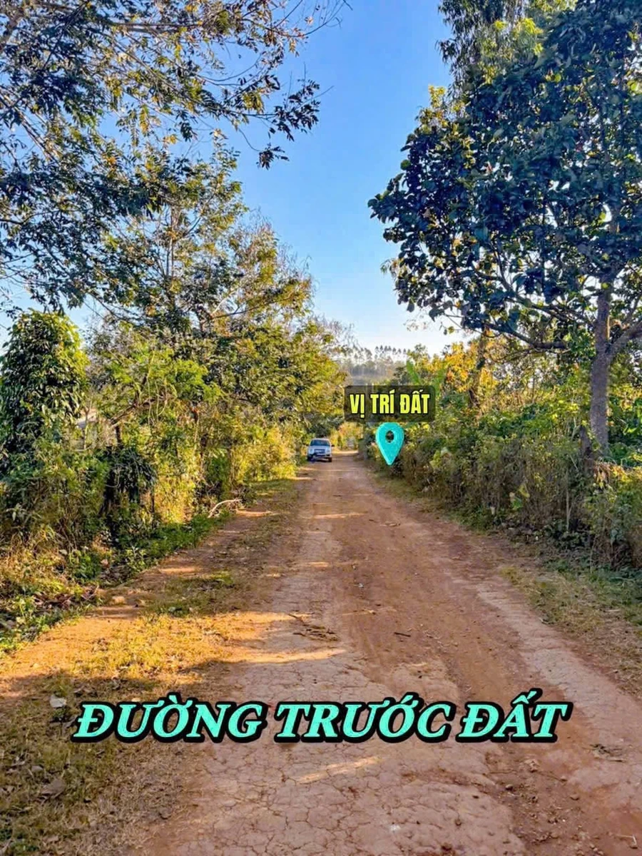 Bán đất 140m² có THỔ CƯ Đắk Lắk 215 triệu - Ảnh thu nhỏ 2