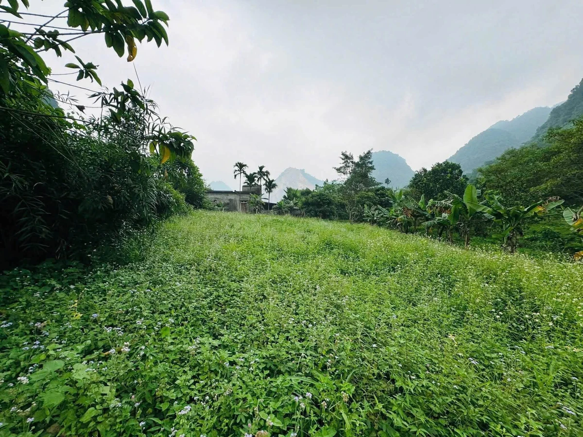 Bán đất bám suối view núi đá Hòa Bình 1.160m² - Ảnh thu nhỏ 3