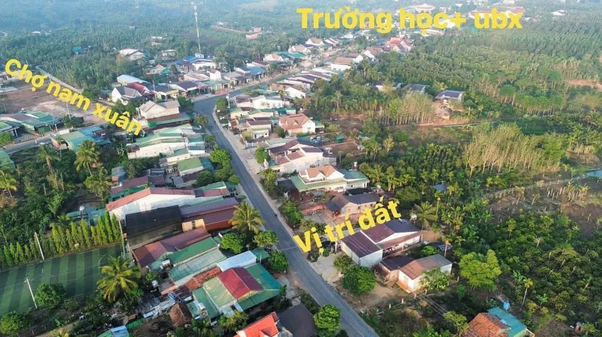 Bán đất mặt tiền TL683 200m2 Đắk Săk Lâm Đồng 2.5 tỷ - Ảnh thu nhỏ 2