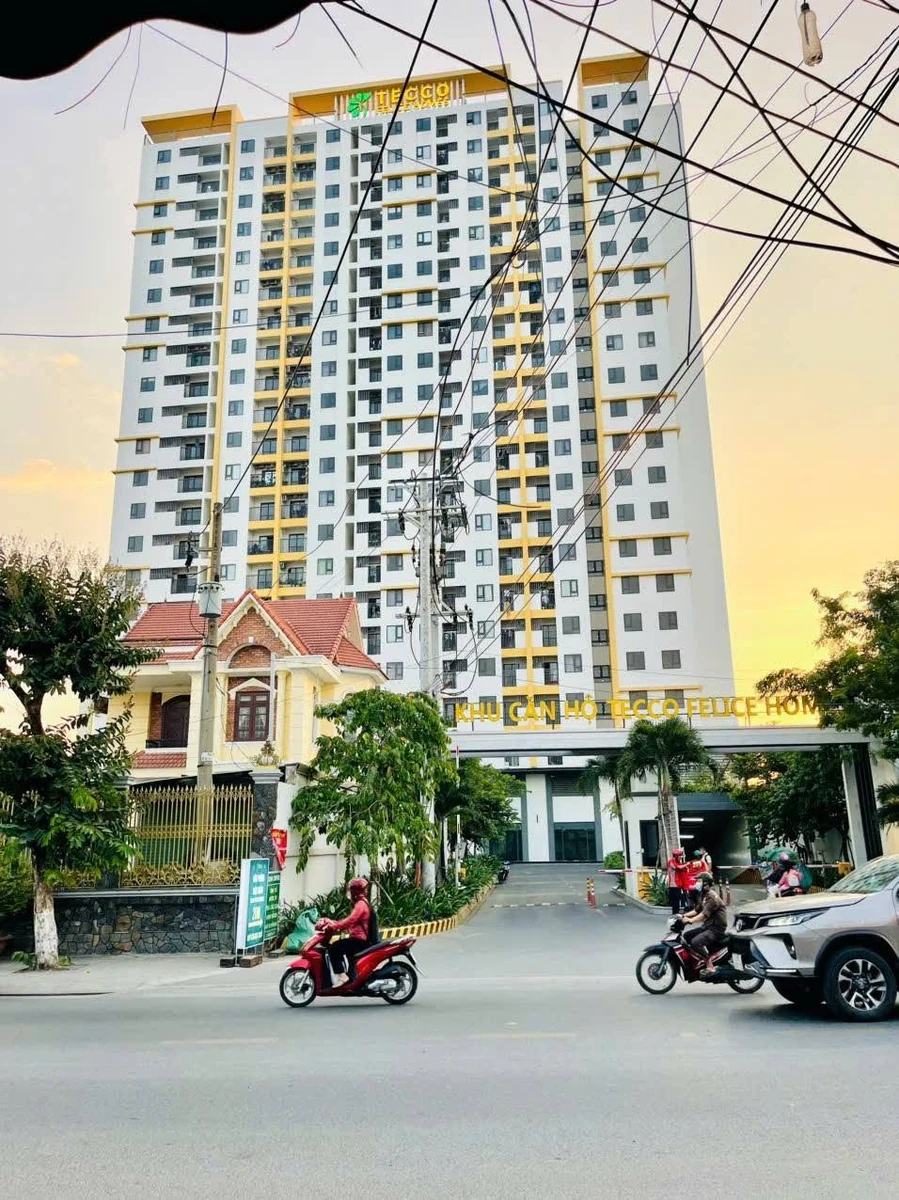 Bán đất mặt tiền Lê Thị Trung Thuận An 300m2 12,5 tỷ - Ảnh 1