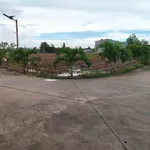 Bán đất lúa 2 mặt tiền 868m² Tân Trụ, Long An 1 tỷ 800 - Ảnh thu nhỏ 2