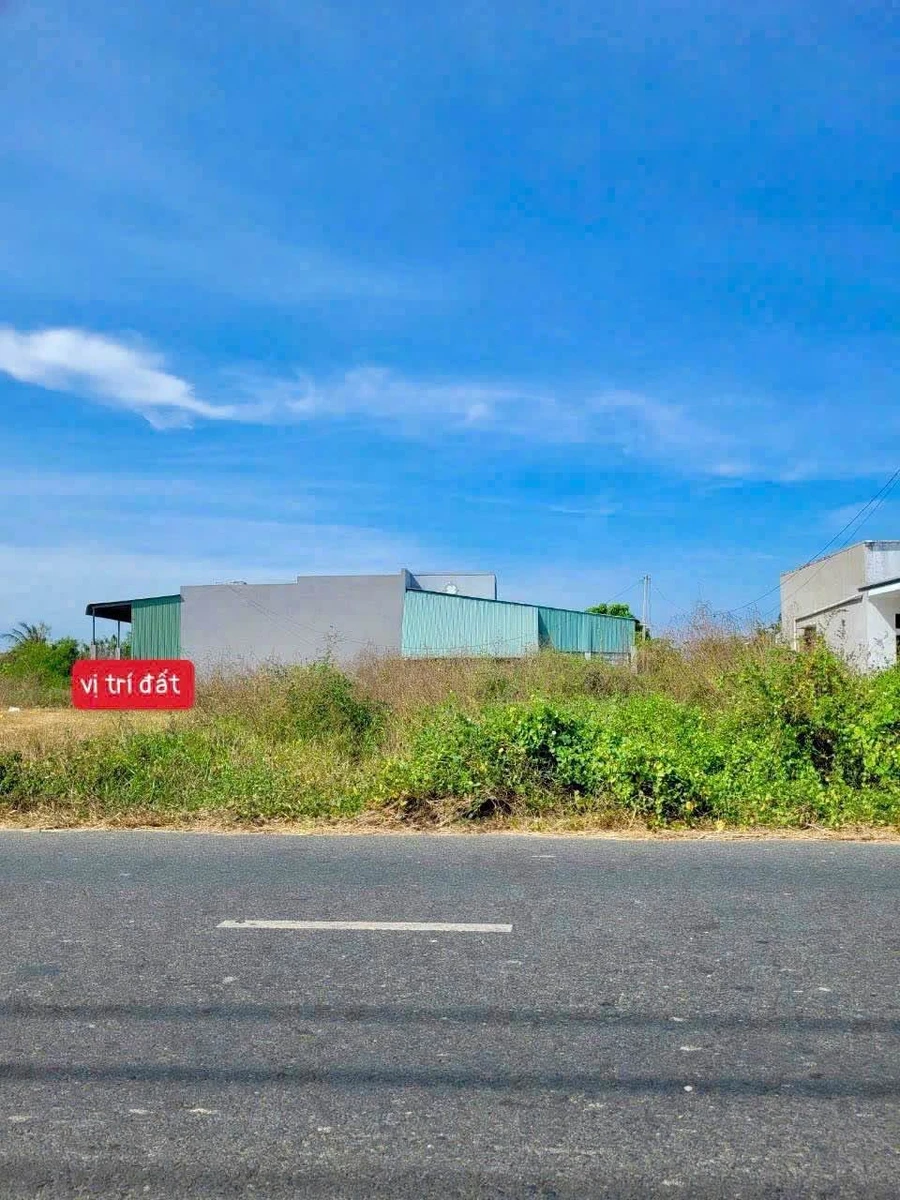 Bán đất thổ cư mặt tiền Nhựa Xoài Quỳ 150m2, Lâm Đồng - Ảnh thu nhỏ 2