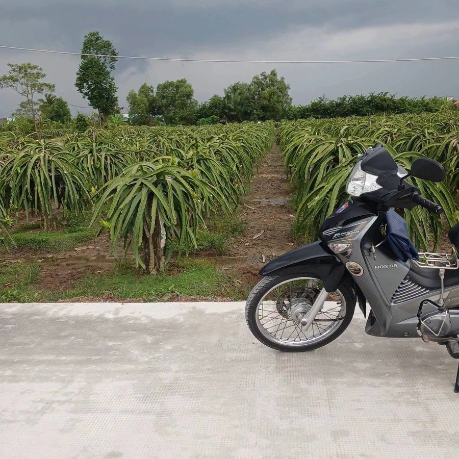 Bán đất nền 1000m2 Thuận Mỹ, Châu Thành, Long An - Ảnh thu nhỏ 2