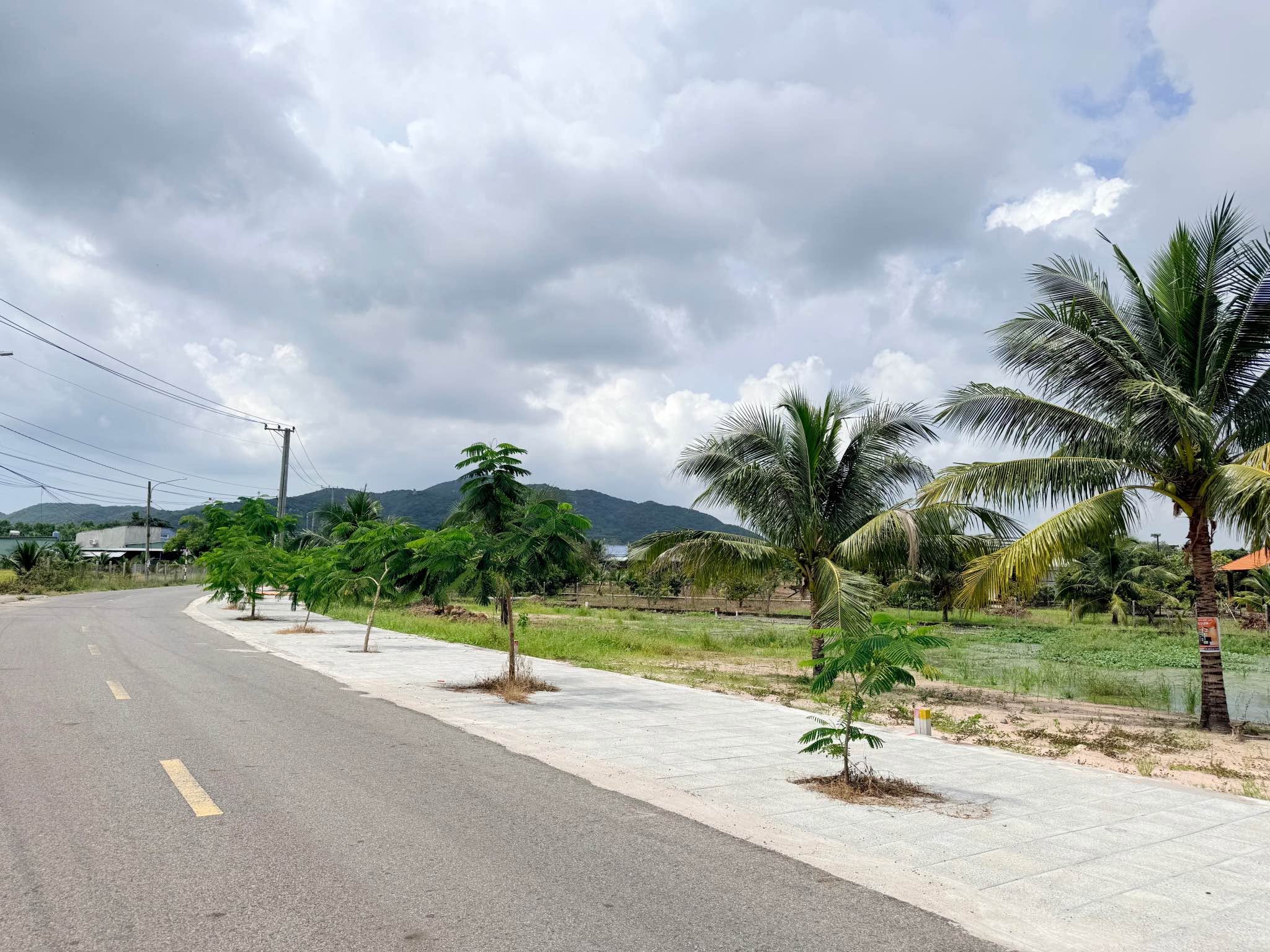 Bán đất Long Mỹ - Phước Hải 295m2, 2 tỷ 100 - Ảnh thu nhỏ 2