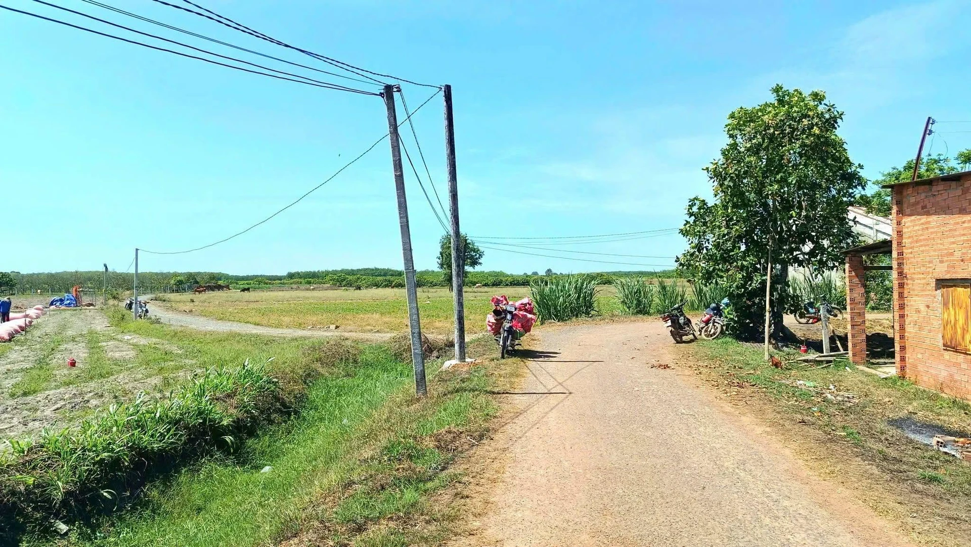 Bán đất thổ cư 5x33m giá 290 triệu gần Cansport, Truông Mít, Dương Minh Châu, Tây Ninh - Ảnh 1