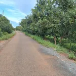 Bán 1 ha đất riêng MT 130m, Tân Hưng, Đồng Phú, 3 tỷ - Ảnh thu nhỏ 3