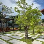 Nhà vườn 1.600m² giá 1 tỷ 790 tại Lâm Đồng - Ảnh thu nhỏ 5