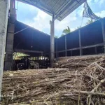 Bán đất và nhà xưởng 3.000m² Mỏ Cày Bắc, giá 1 tỷ 6 - Ảnh thu nhỏ 5