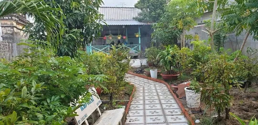 Bán đất hẻm 211 m² Nguyễn Trung Trực, Rạch Giá - Ảnh 1