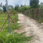 Bán đất 250m2 ngang 10m, có 50m thổ cư tại Quới Thành (nay là Tiên Thủy) - Ảnh thu nhỏ 4