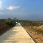 Bán 1017m² đất Tân Hà Lâm Đồng view sân bay 750 triệu - Ảnh thu nhỏ 2
