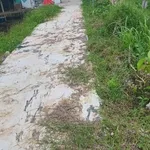Bán đất nền 150m² giá 260 triệu ở Phường Long Tuyền, Cần Thơ - Ảnh thu nhỏ 2