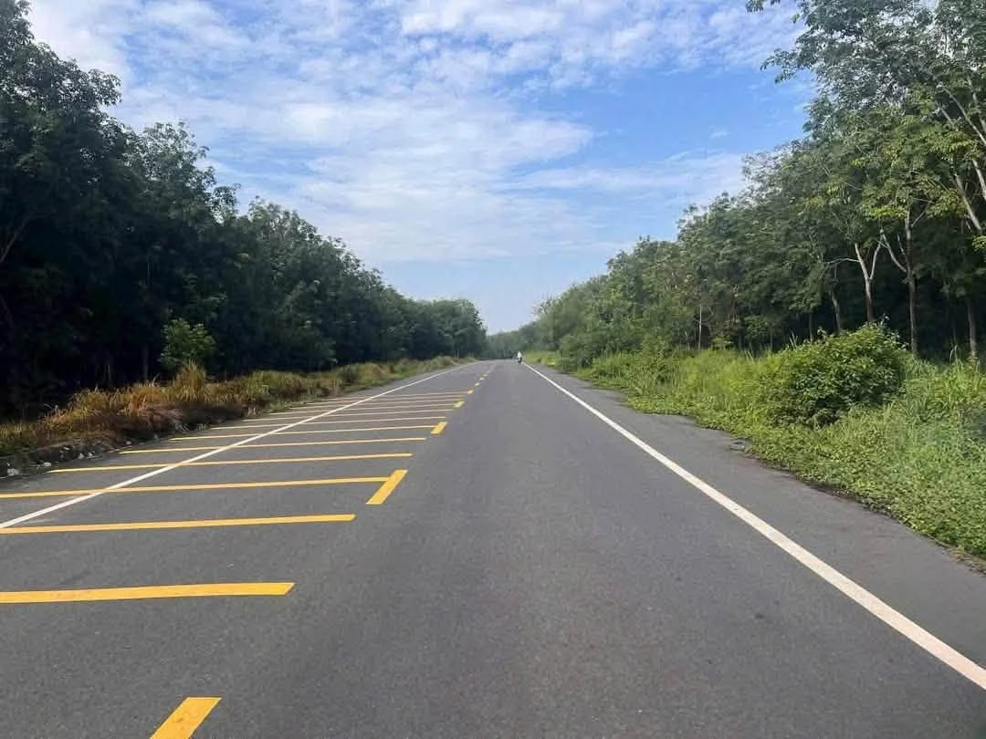 Bán đất Bình Mỹ Tân Bình 8.900m2 8 tỷ - Ảnh thu nhỏ 2