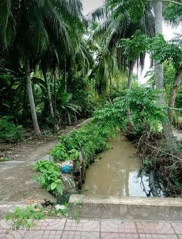 Bán gấp gần 4 công đất nền Rạch Giá, Kiên Giang