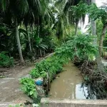 Bán gấp gần 4 công đất nền Rạch Giá, Kiên Giang - Ảnh thu nhỏ 1