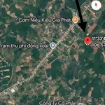 Bán 2.3ha đất trồng điều Đồng Phú gần QL14, 4.5 tỷ - Ảnh thu nhỏ 5