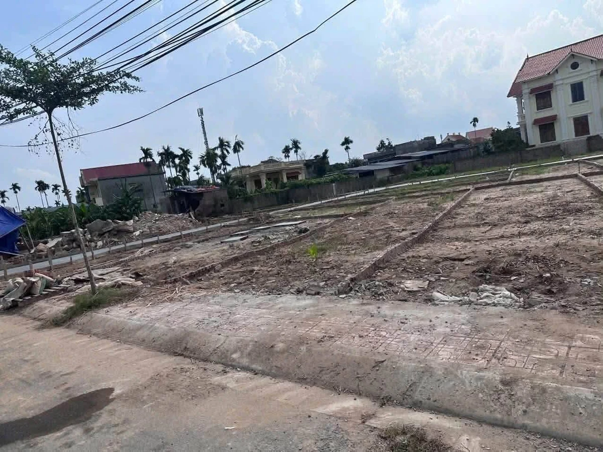 Bán lô đất 50m² Đại Đồng, Hồng An, Hải Phòng - Ảnh thu nhỏ 4