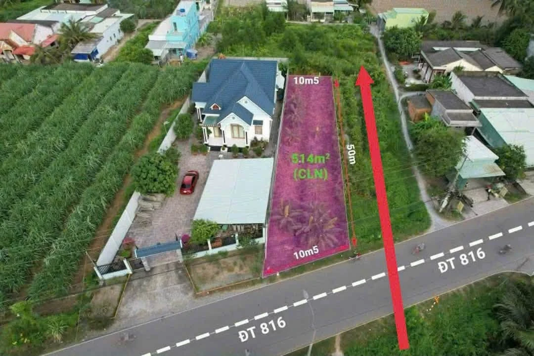 Bán đất thổ cư mặt tiền 450m² Bình Đức Long An - Ảnh thu nhỏ 3