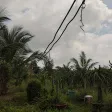 Diện tích lớn 1.4ha, có 500m2 thổ cư, đường ô tô, SHR, tại La Gi, thích hợp làm Homestay, phân lô - Ảnh thu nhỏ 26