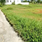 Bán đất 670m2 Phú Cường, Hàm Thắng, Lâm Đồng - Ảnh thu nhỏ 3