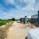 Biệt thự vườn 1260m2 tại thị trấn Đất Đỏ - 5,5 tỷ - Ảnh thu nhỏ 2