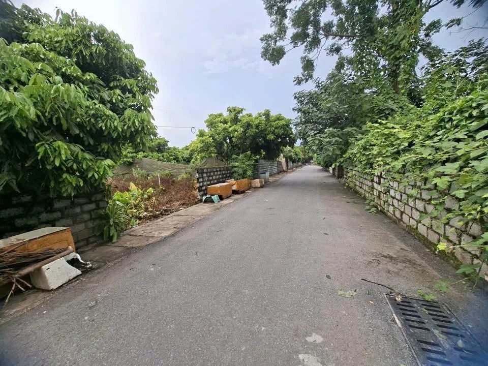 Bán đất Phương Chiểu Hưng Yên 102m2 1 tỷ - Ảnh 1