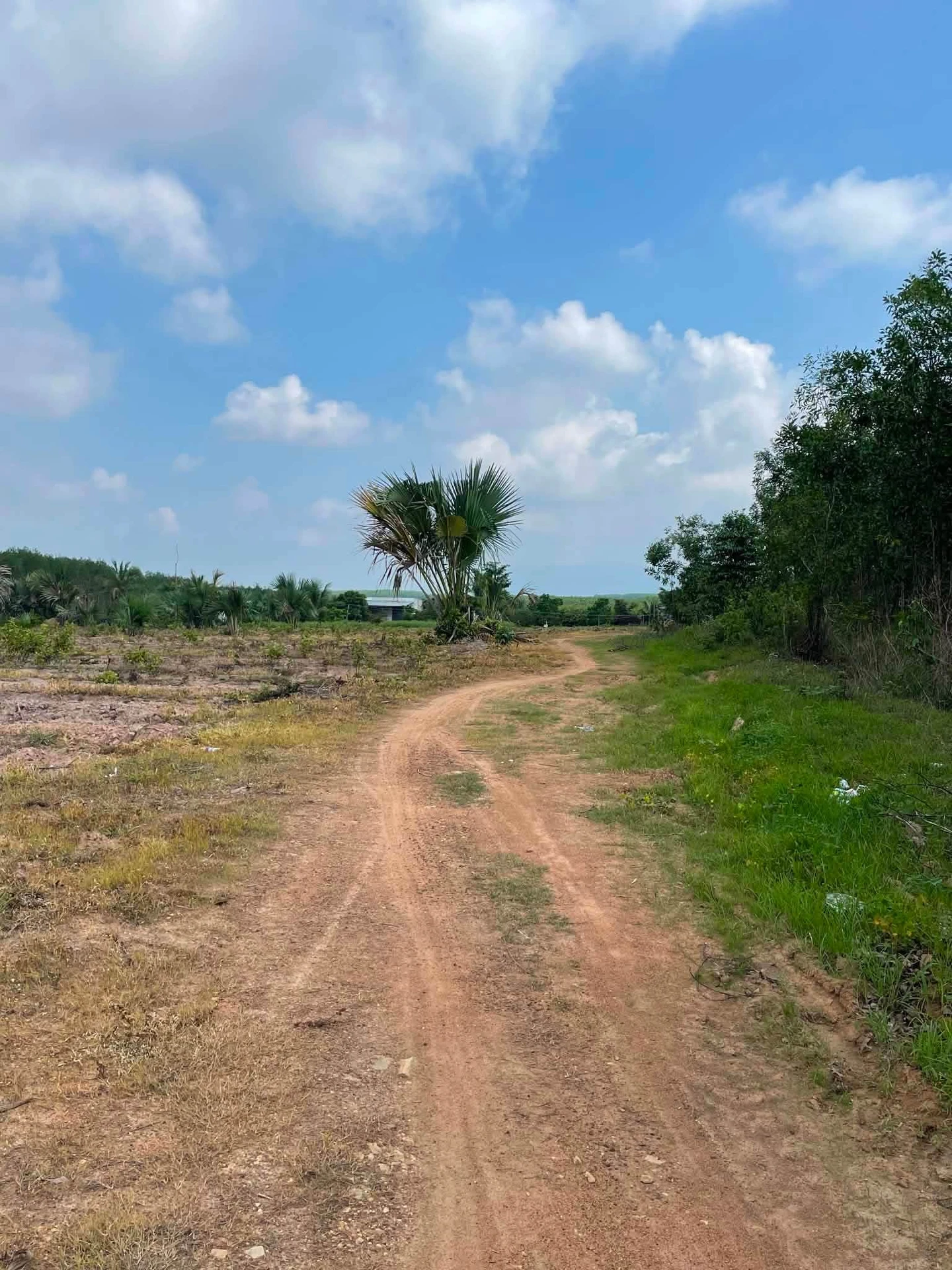 Bán lô đất 8000m2 tại Hàm Tân, Bình Thuận, giá 2,3 tỷ - Ảnh 1